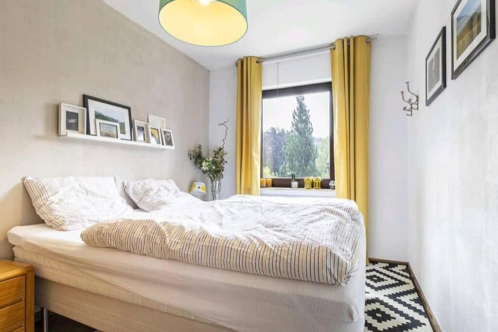 Apartment Mit Kamin-Sonnendurchflutet-Balkon Winterberg Eksteriør billede